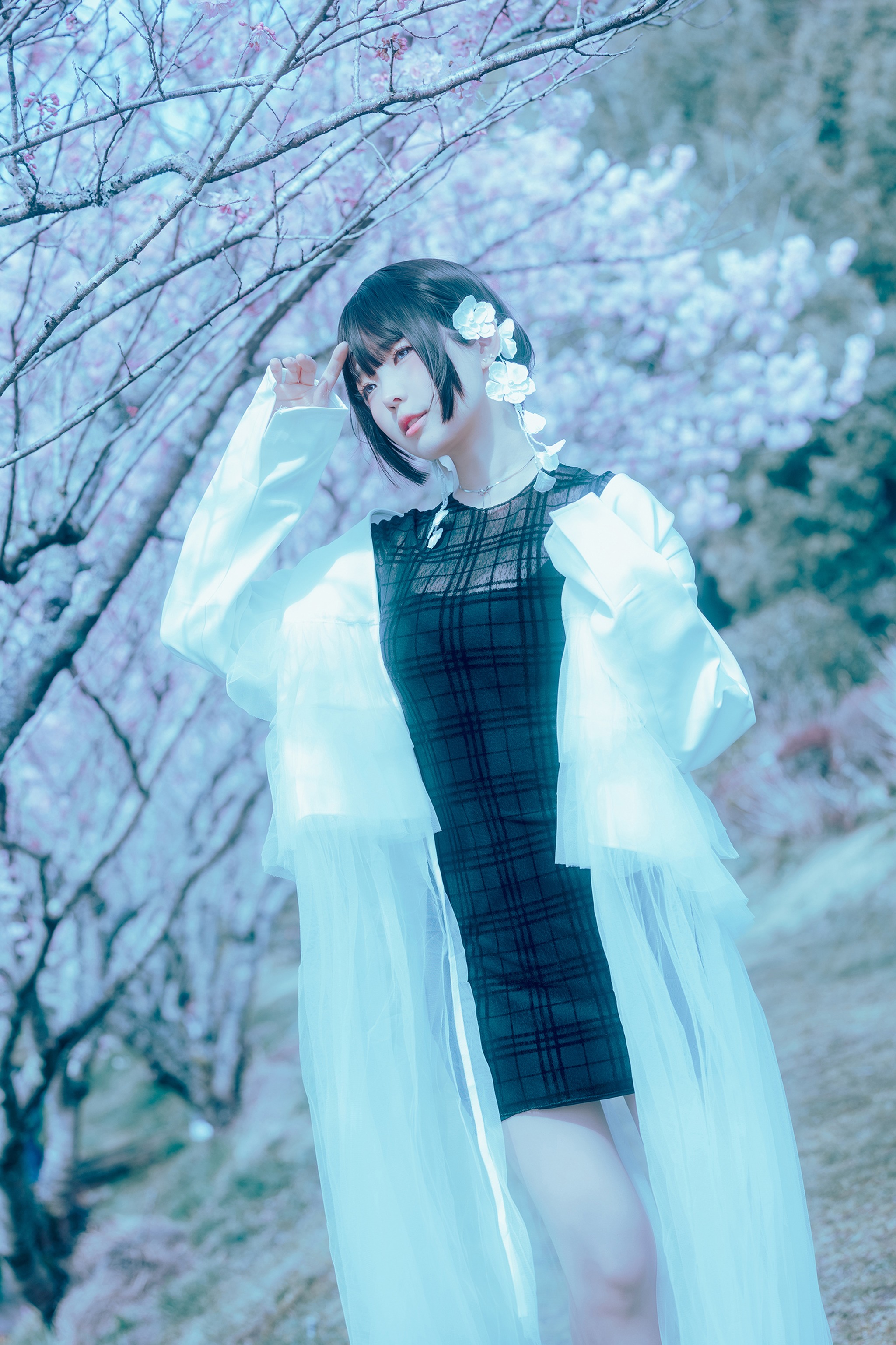 ElyEE子 - NO.164 17°C Pink Sakura17°C粉櫻 [43P1V]-XikXak